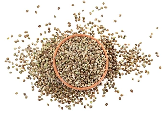 INDUS HEMP – Natural Hemp Seeds